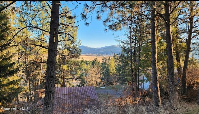 view of mountain feature