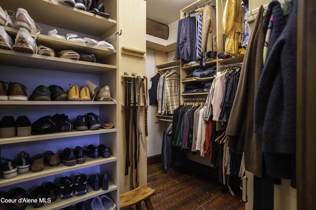 16692 S Lazurite Dr, Coeur Dalene, ID 83814 - spacious closet with dark wood-type flooring