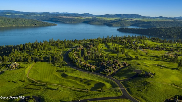 16692 S Lazurite Dr, Coeur Dalene, ID 83814 - aerial view featuring a water and mountain view