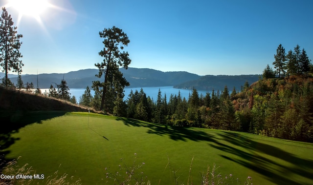 16692 S Lazurite Dr, Coeur Dalene, ID 83814 - surrounding community with a yard and a water and mountain view