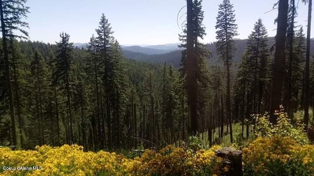 property view of mountains