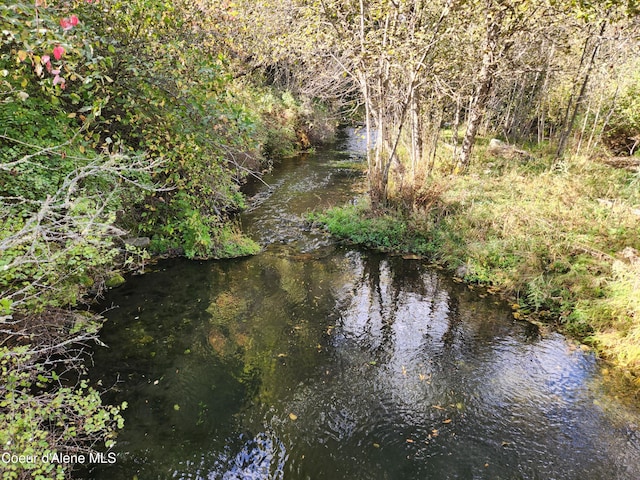 view of nature