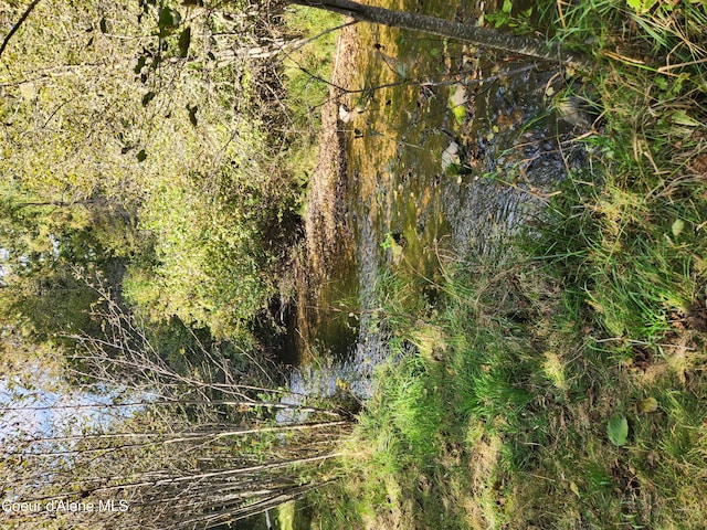 view of landscape