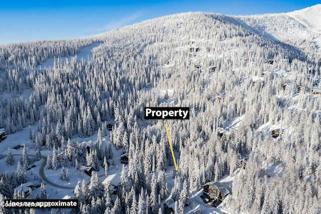 Listing photo 2 for BLK3LOT16 Ullr Dr, Sandpoint ID 83864