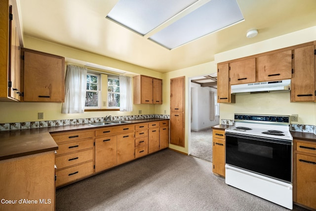 kitchen with dark colored carpet, electric stove, and sink