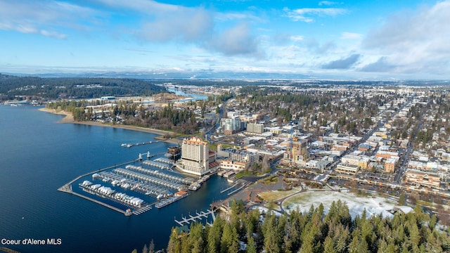 bird's eye view with a water view