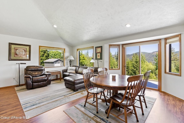 dining room featuring a textured ceiling, a mountain view, light hardwood / wood-style flooring, and vaulted ceiling