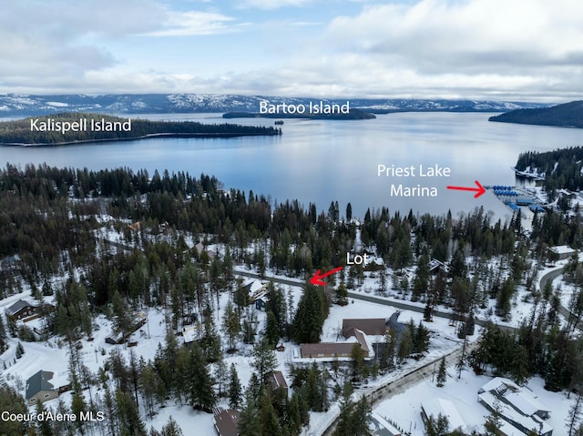 Listing photo 3 for LOT7 Kalispell Bay Rd, Priest Lake ID 83856