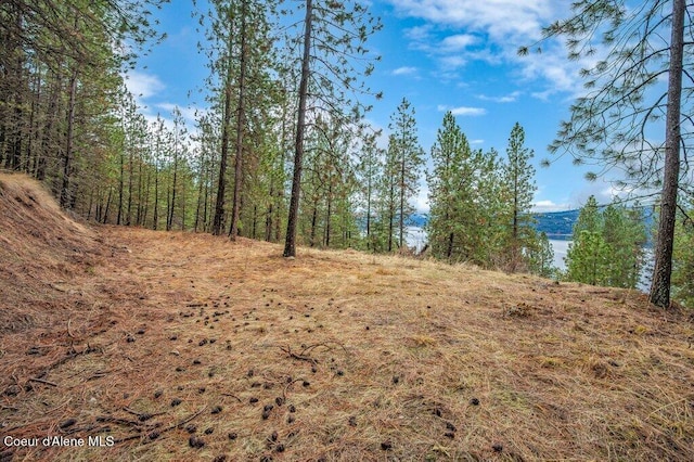 Listing photo 3 for NNA E Crows Nest Rd, Harrison ID 83833