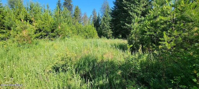 Listing photo 3 for LT3 W Fedrick Loop, Spirit Lake ID 83869