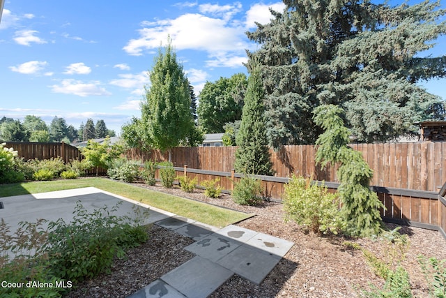 view of yard featuring a patio