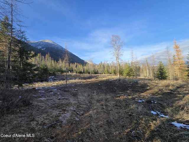 Listing photo 2 for NNA W Side Road Parcel 2, Bonners Ferry ID 83805