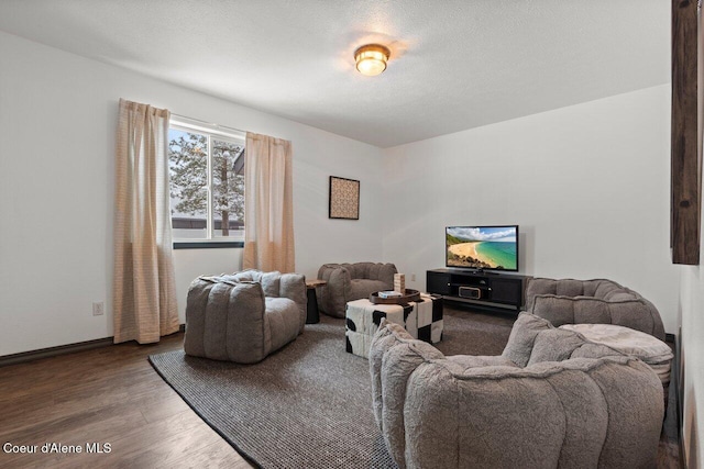 living room featuring hardwood / wood-style floors and a textured ceiling