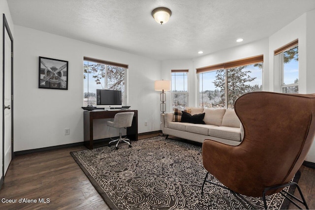 office space featuring dark hardwood / wood-style flooring and a textured ceiling