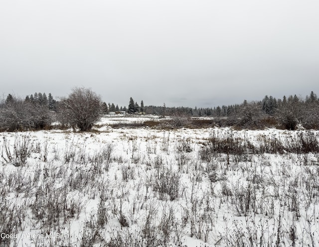 view of snowy landscape