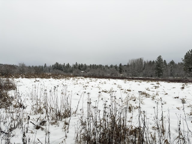 view of snowy yard