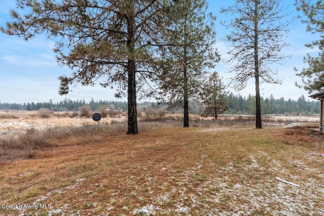 view of yard with a rural view