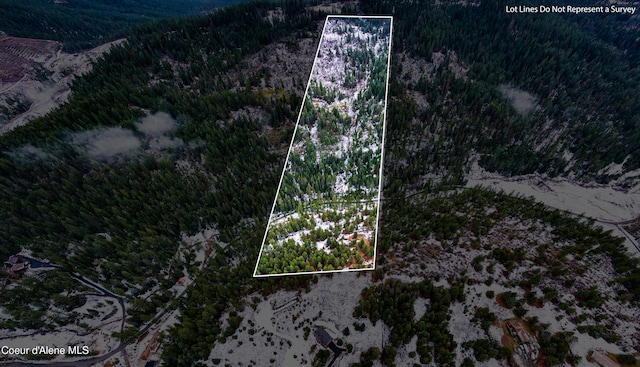 40ACRES W Cougar Gulch Rd, Coeur Dalene ID, 83814 land for sale