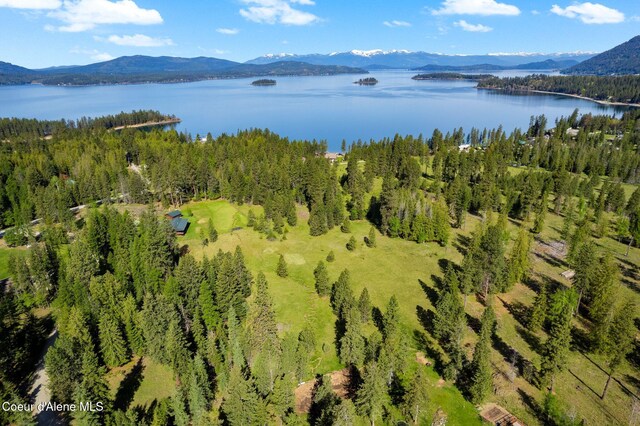 BLK5LOT4 Kiebert Loop, Hope, ID 83836 - photo 11