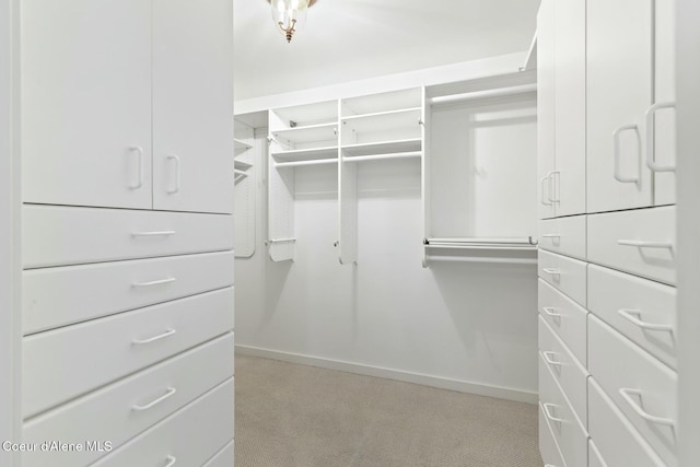 spacious closet featuring light colored carpet