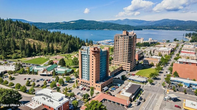 birds eye view of property featuring a water and mountain view