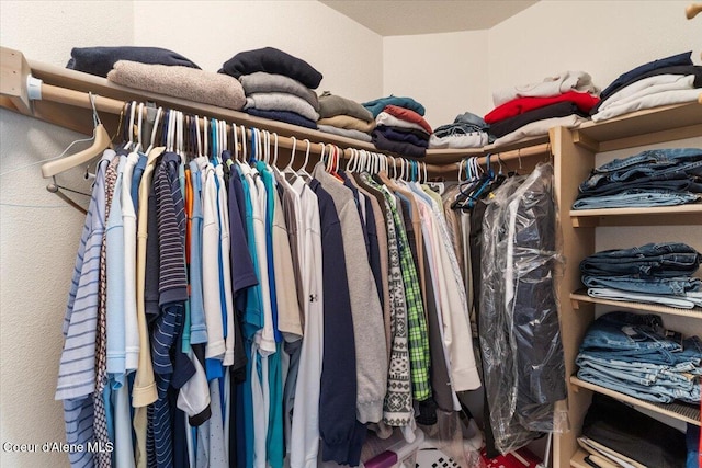 view of walk in closet