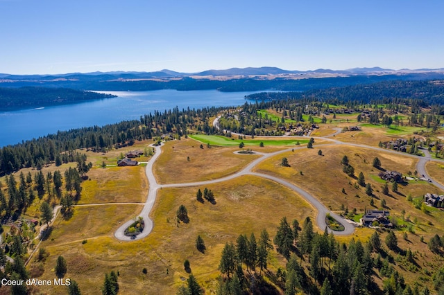 L256 S Gypsum Ct, Coeur Dalene ID, 83814 land for sale