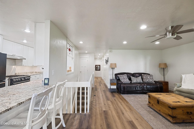 living room with ceiling fan and light hardwood / wood-style floors