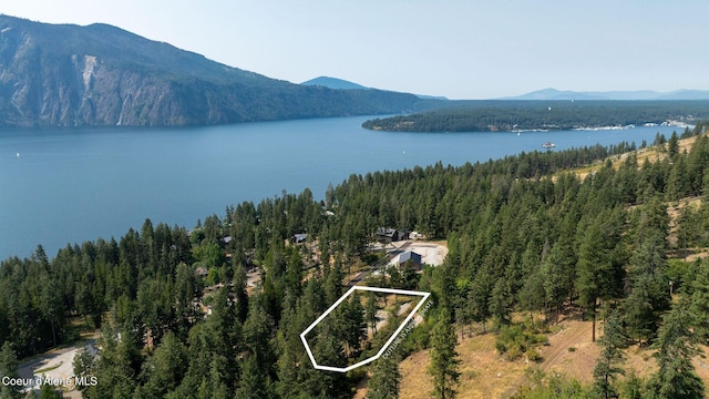 35270 N Terrace Dr, Bayview, ID 83803