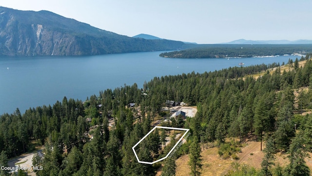 35270 N Terrace Dr, Bayview ID, 83803 land for sale