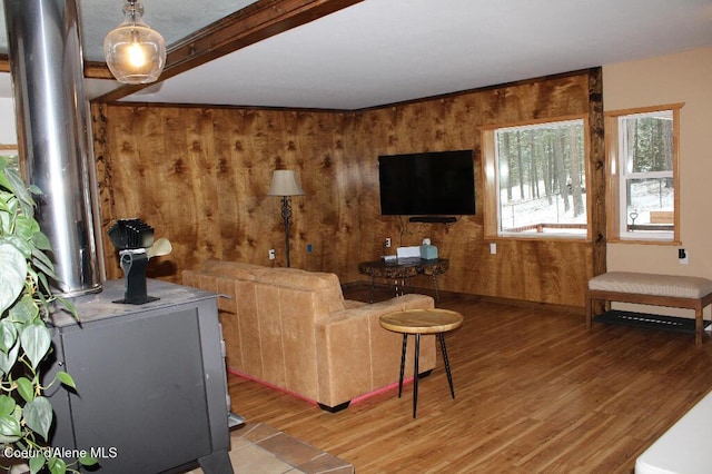 living area with wood walls and wood finished floors