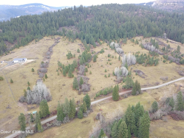 NKA S Willow Creek Rd, Medimont, ID 83842 - photo 2