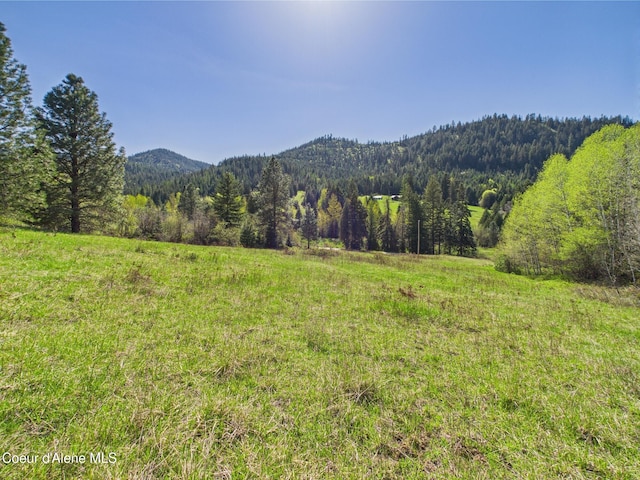 NKA S Willow Creek Rd, Medimont, ID 83842 - photo 9