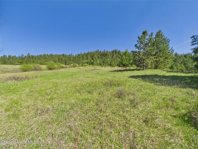 NKA S Willow Creek Rd, Medimont, ID 83842 - photo 10