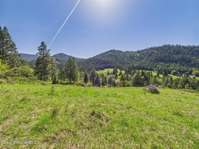 NKA S Willow Creek Rd, Medimont, ID 83842 - photo 12