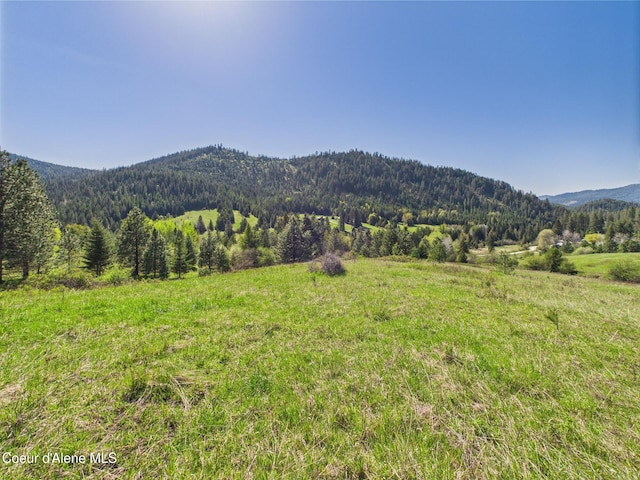 NKA S Willow Creek Rd, Medimont, ID 83842 - photo 1