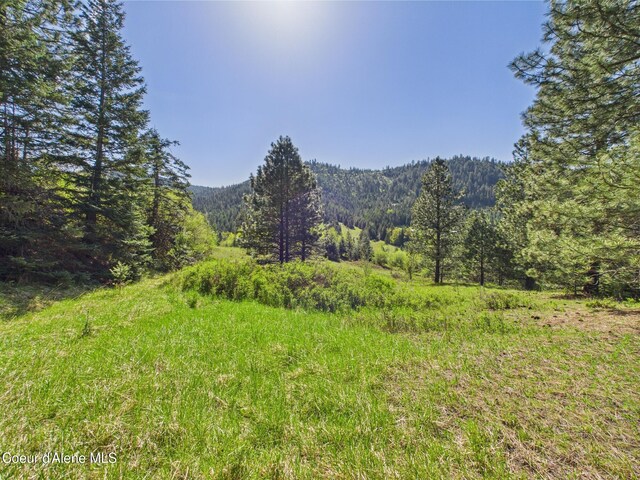 NKA S Willow Creek Rd, Medimont, ID 83842 - photo 13