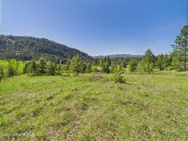 NKA S Willow Creek Rd, Medimont, ID 83842 - photo 14