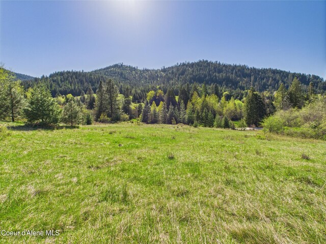 NKA S Willow Creek Rd, Medimont, ID 83842 - photo 15