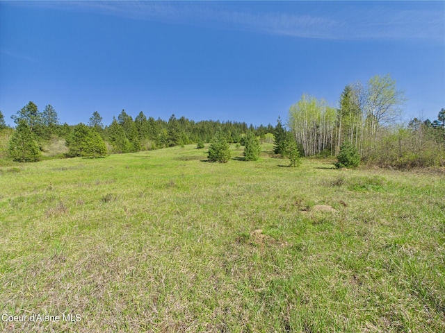 NKA S Willow Creek Rd, Medimont, ID 83842 - photo 17