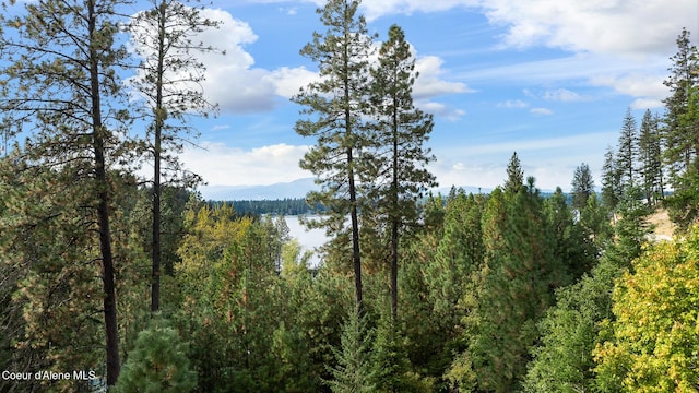 Listing photo 2 for NNA E Upper Hayden Lake Road, Hayden ID 83835