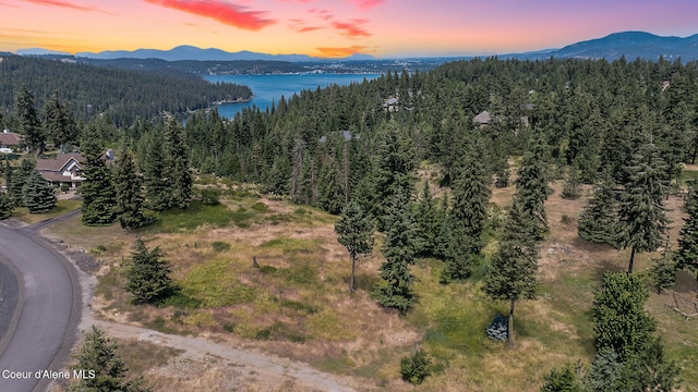 NNA S Greenfield Ln, Coeur Dalene, ID 83814