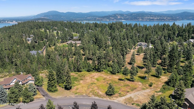 NNA S Greenfield Ln, Coeur Dalene, ID 83814
