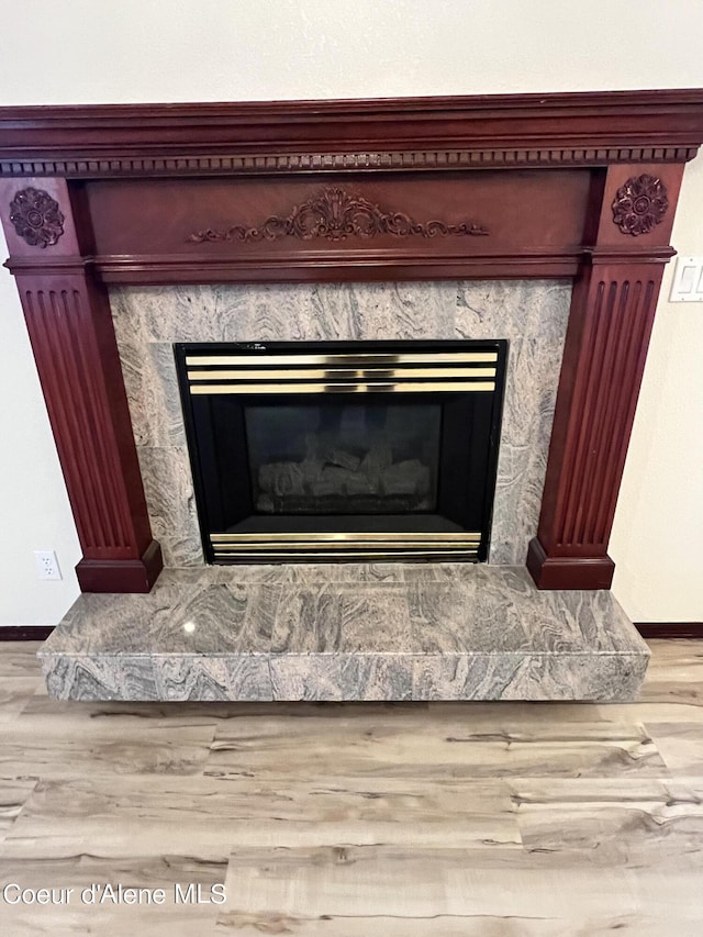 details featuring a premium fireplace and hardwood / wood-style floors