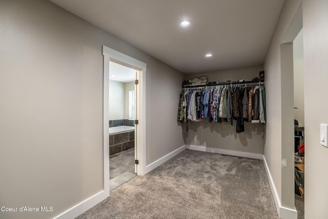 spacious closet featuring carpet flooring