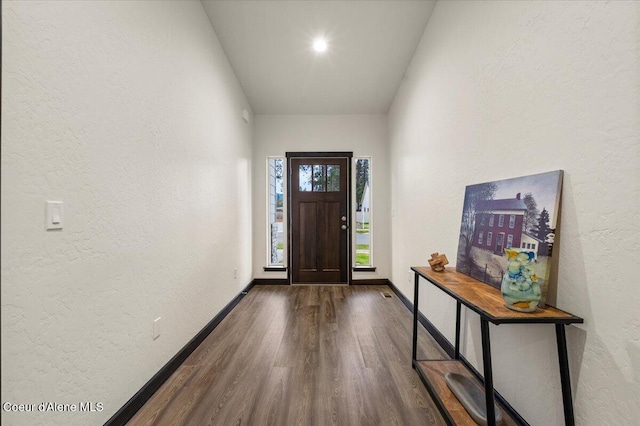 foyer entrance with dark hardwood / wood-style flooring