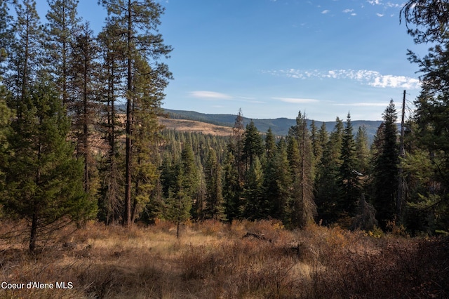 NNA Glacier Dr, Saint Maries, ID 83861