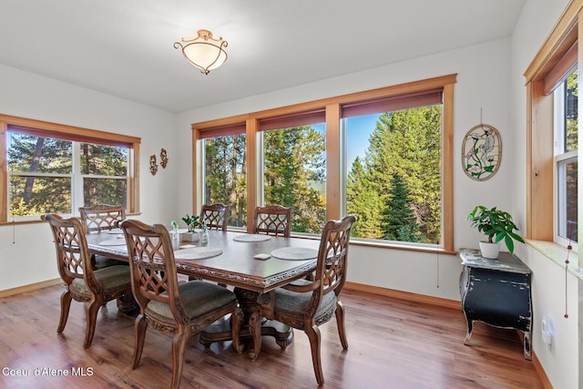 dining room with a healthy amount of sunlight and light wood-type flooring