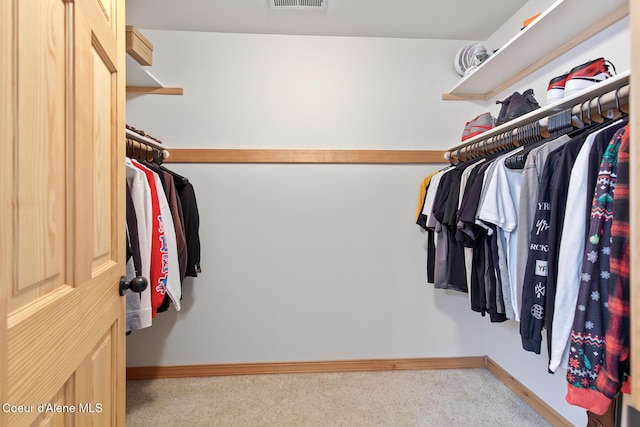 view of spacious closet