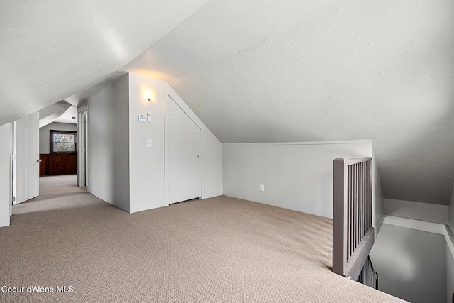 additional living space with light carpet, a textured ceiling, and lofted ceiling